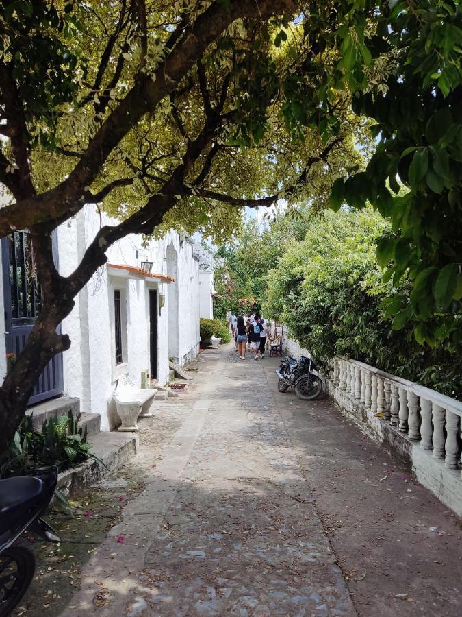 Cabana 52 En La Aldea Doradal Santorini Colombiano 외부 사진